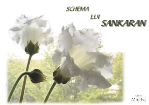 Schema lui Sankaran - Rajan Sankaran